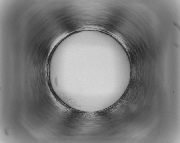 X0000095881003200802081050