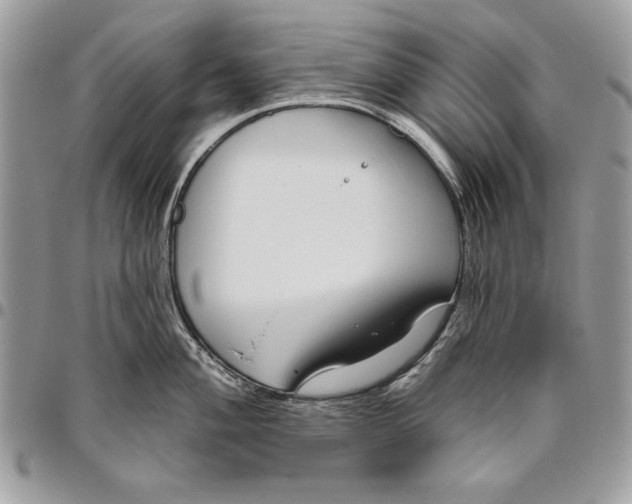 X0000095881004200802081050