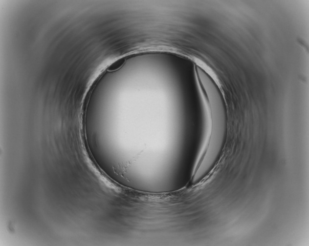 X0000095881005200802081050