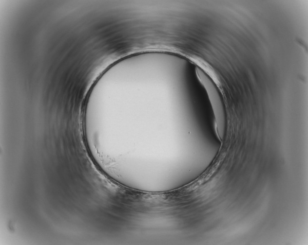 X0000095881006200802081050