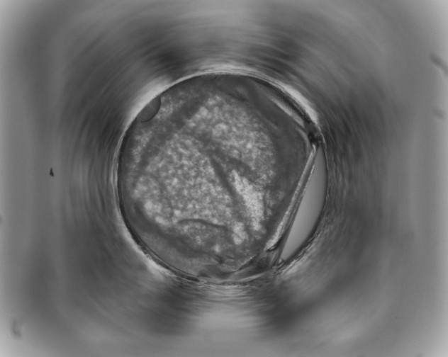 X0000095881007200802081050