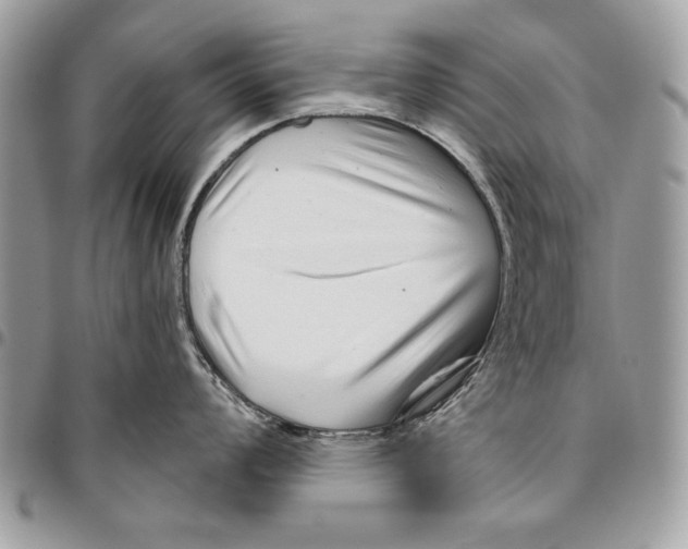 X0000095881008200802081050