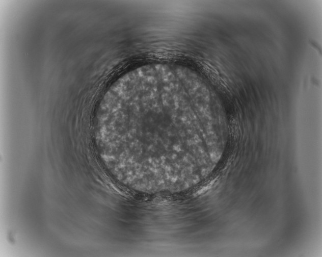 X0000095881009200802081049