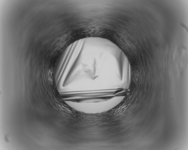 X0000095881010200802081049