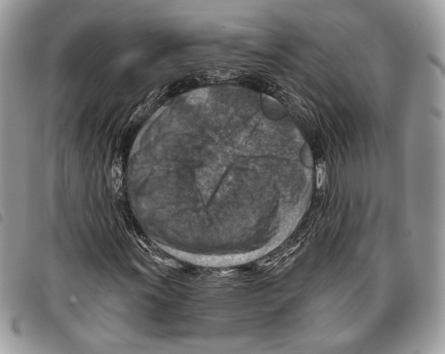 X0000095881011200802081049