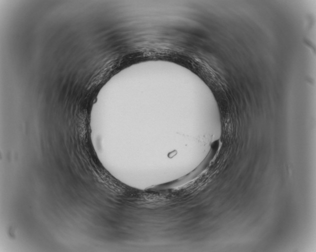 X0000095881012200802081049