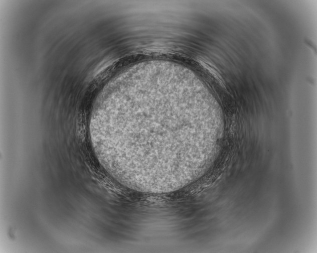 X0000095881015200802081049