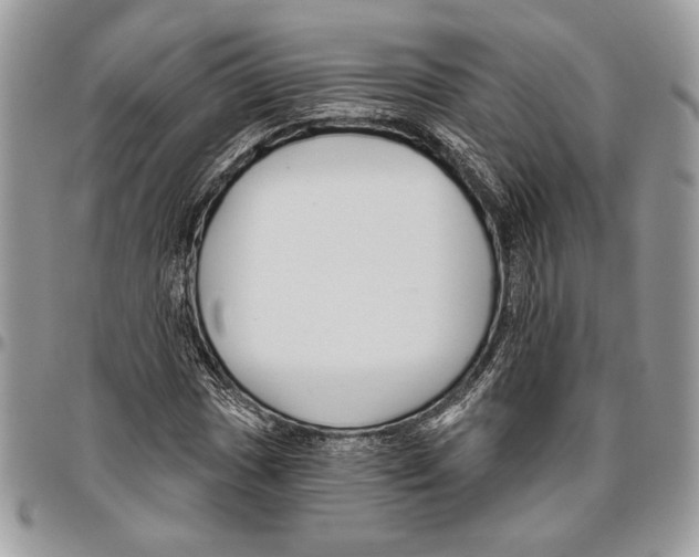 X0000095881017200802081049