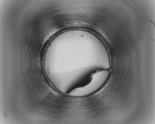 X0000095881018200802081049