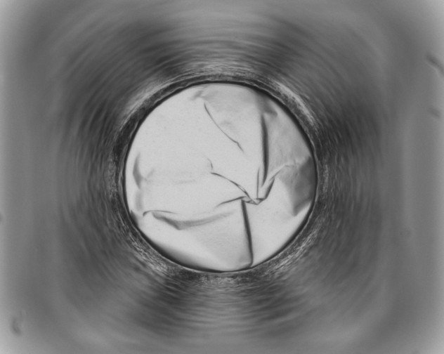 X0000095881019200802081049