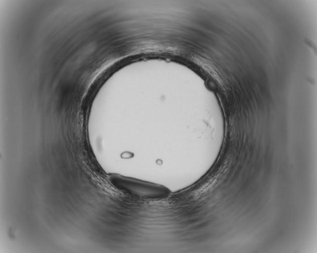 X0000095881021200802081050