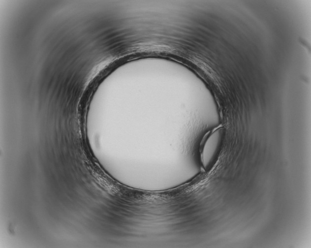 X0000095881022200802081050