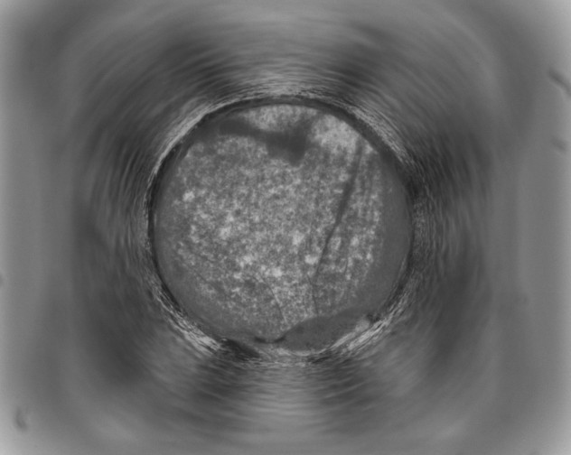 X0000095881023200802081050