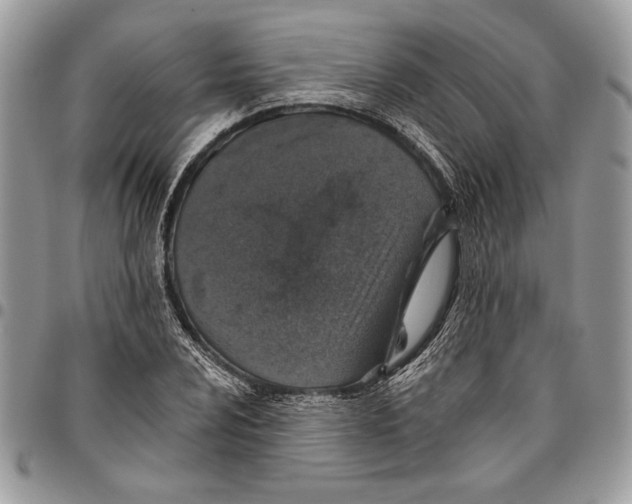 X0000095881024200802081050