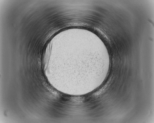 X0000095881025200802081050