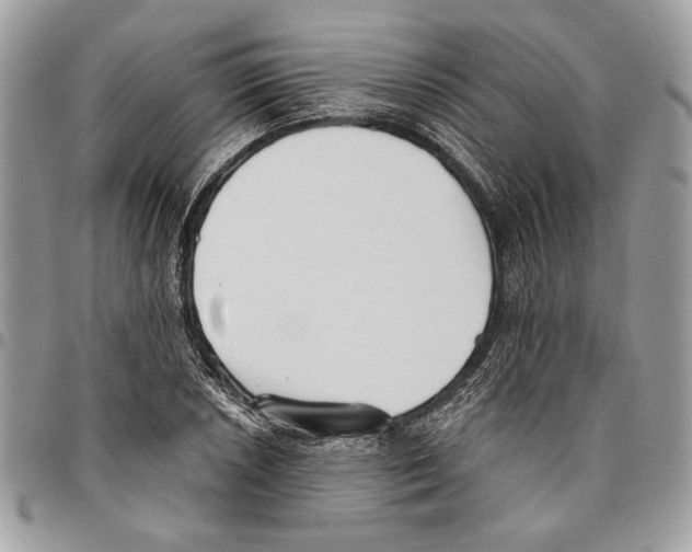 X0000095881026200802081050