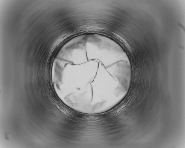 X0000095881027200802081050