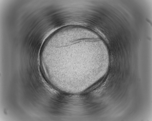 X0000095881028200802081050