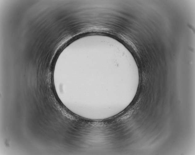 X0000095881029200802081050