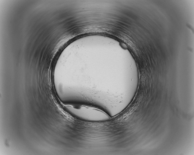 X0000095881030200802081050