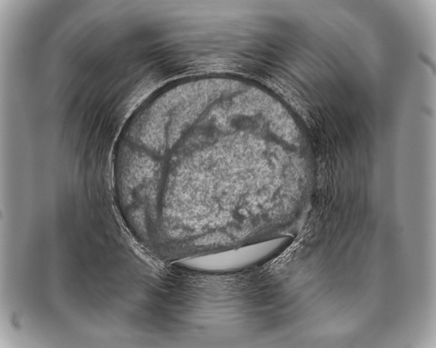 X0000095881031200802081050