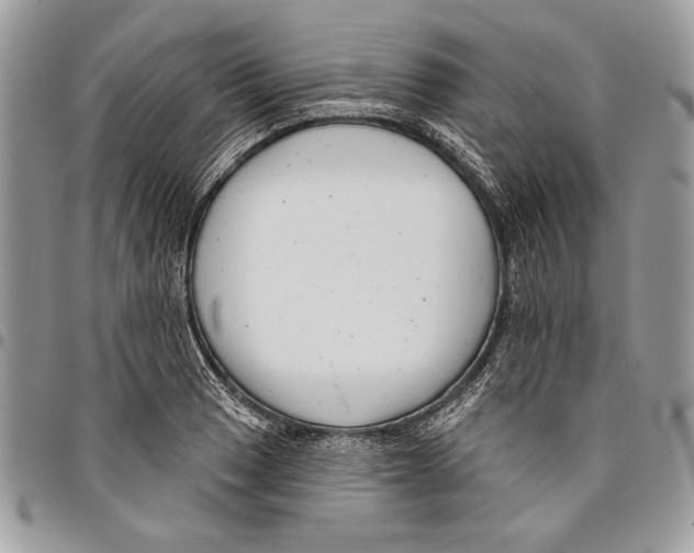 X0000095881033200802081050