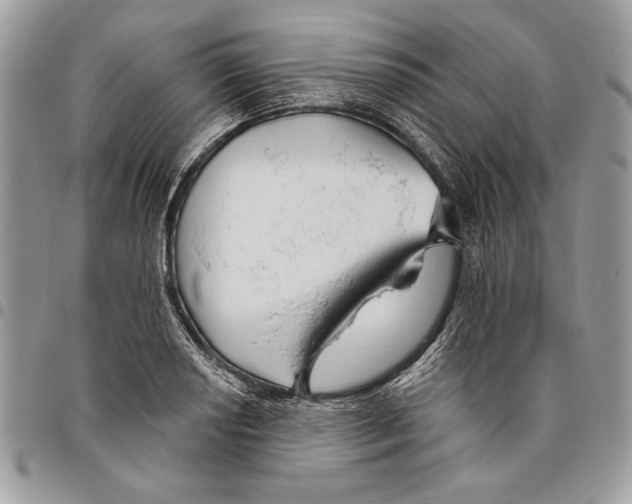 X0000095881034200802081050