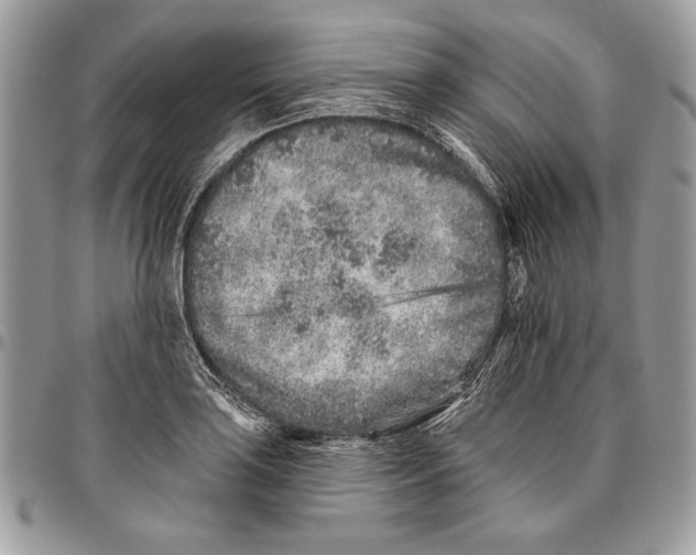 X0000095881035200802081050