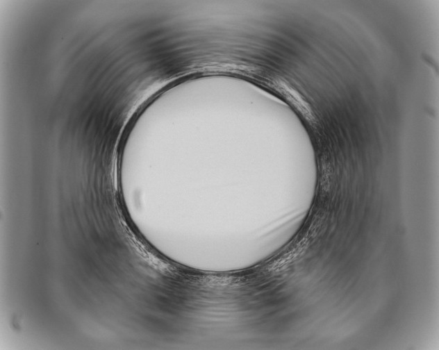 X0000095881036200802081050