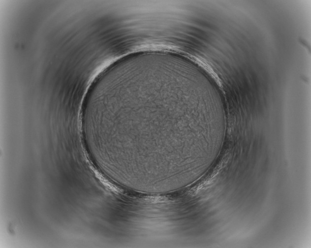 X0000095881037200802081050