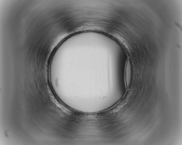 X0000095881038200802081050