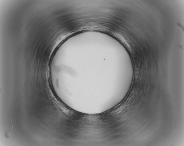 X0000095881040200802081050