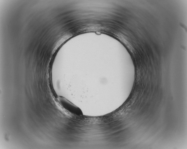 X0000095881042200802081050