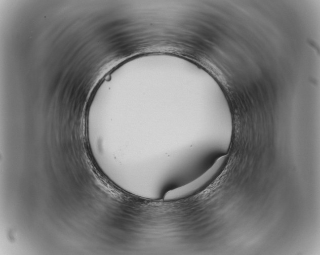 X0000095881044200802081050