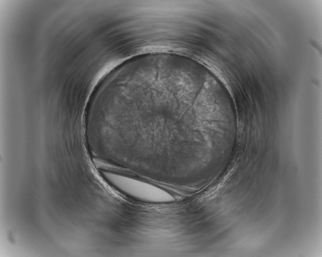 X0000095881045200802081050