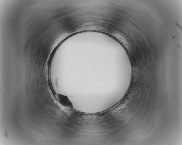 X0000095881046200802081050