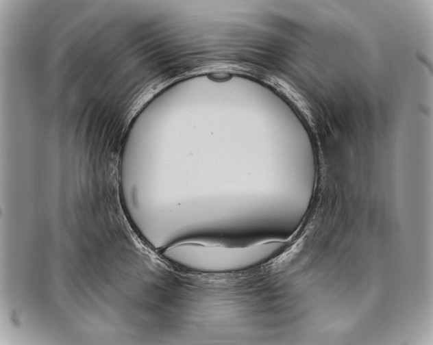 X0000095881049200802081050