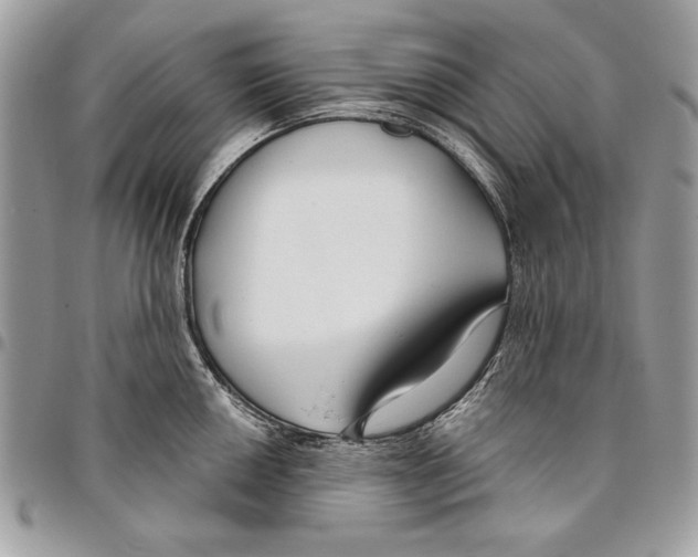 X0000095881050200802081050