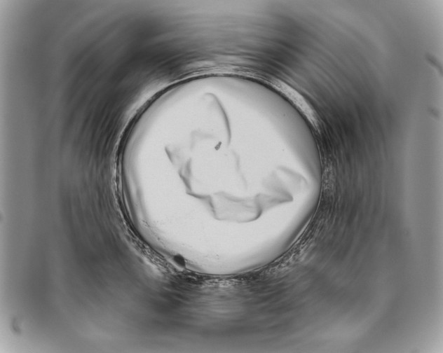 X0000095881051200802081050