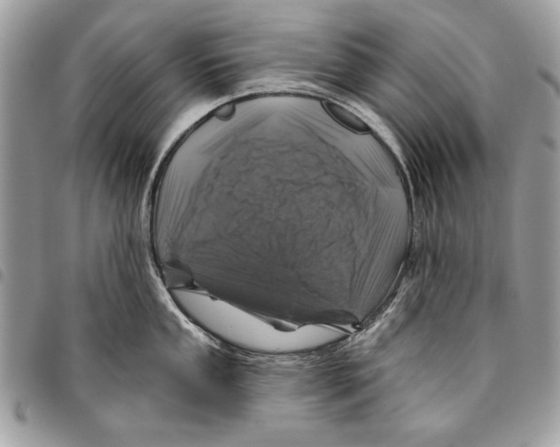 X0000095881053200802081050