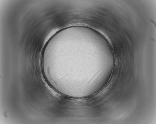 X0000095881054200802081050