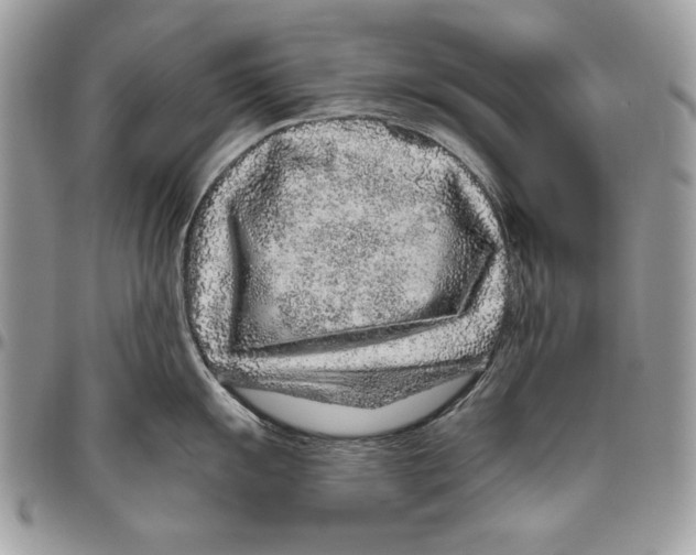 X0000095881055200802081050