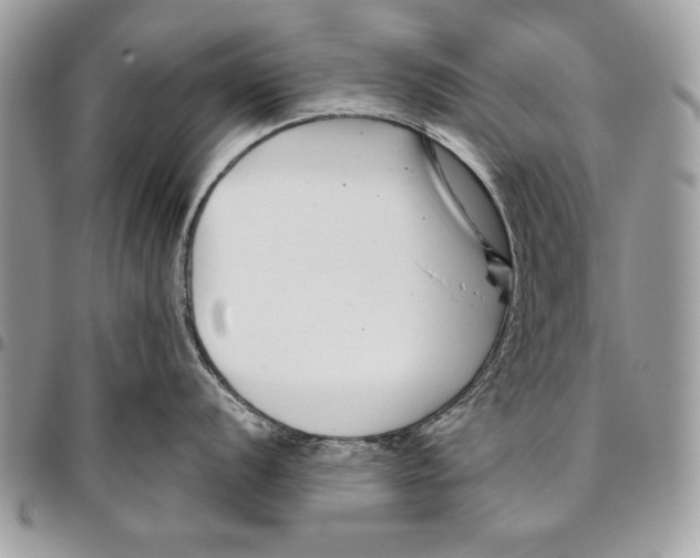 X0000095881056200802081050