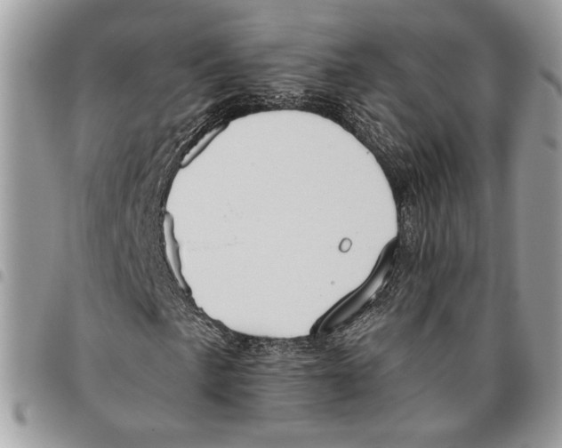 X0000095881057200802081049