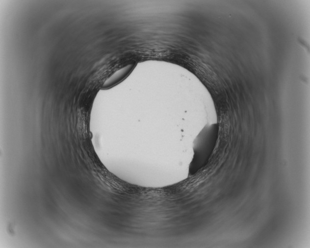 X0000095881058200802081049