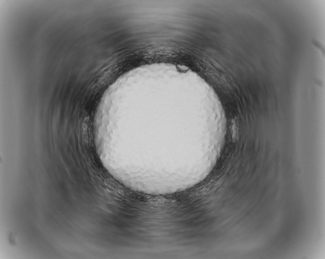 X0000095881059200802081049