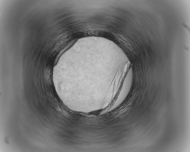 X0000095881060200802081049