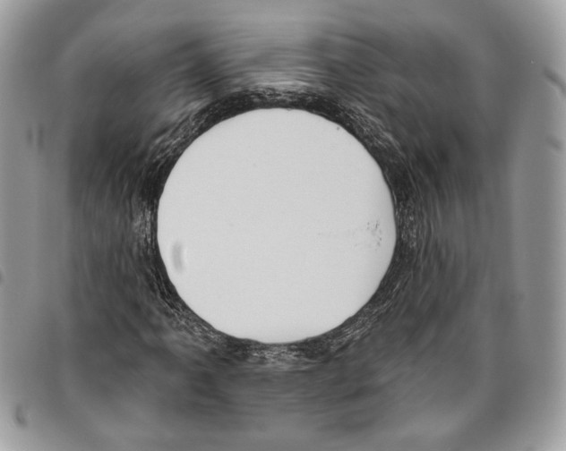 X0000095881061200802081049