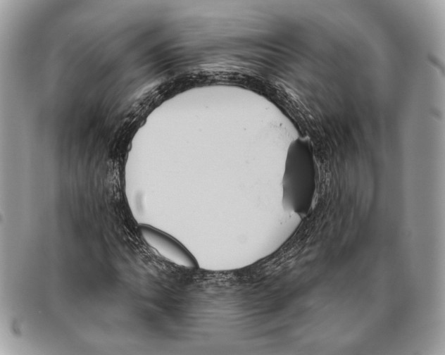 X0000095881062200802081049