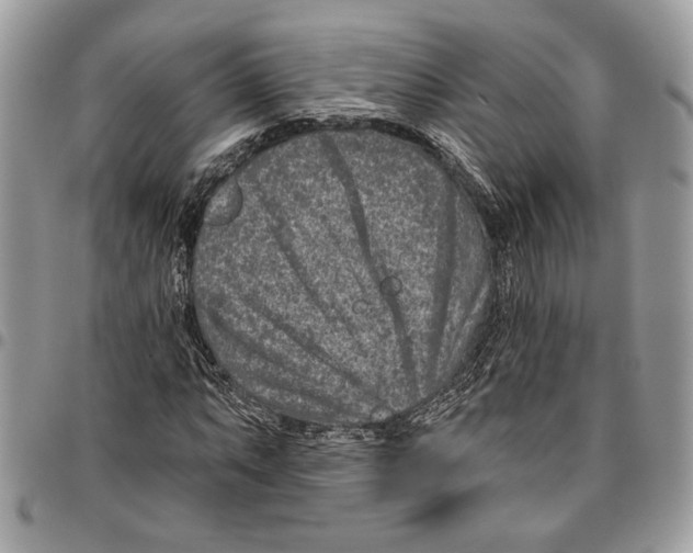 X0000095881063200802081049